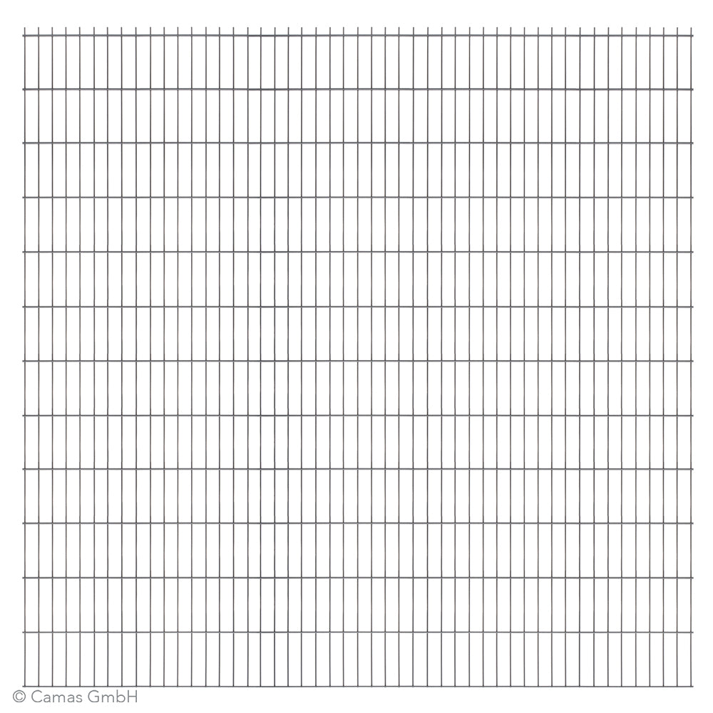Standard vollverzinkte Doppelstabmatte 6/5/6