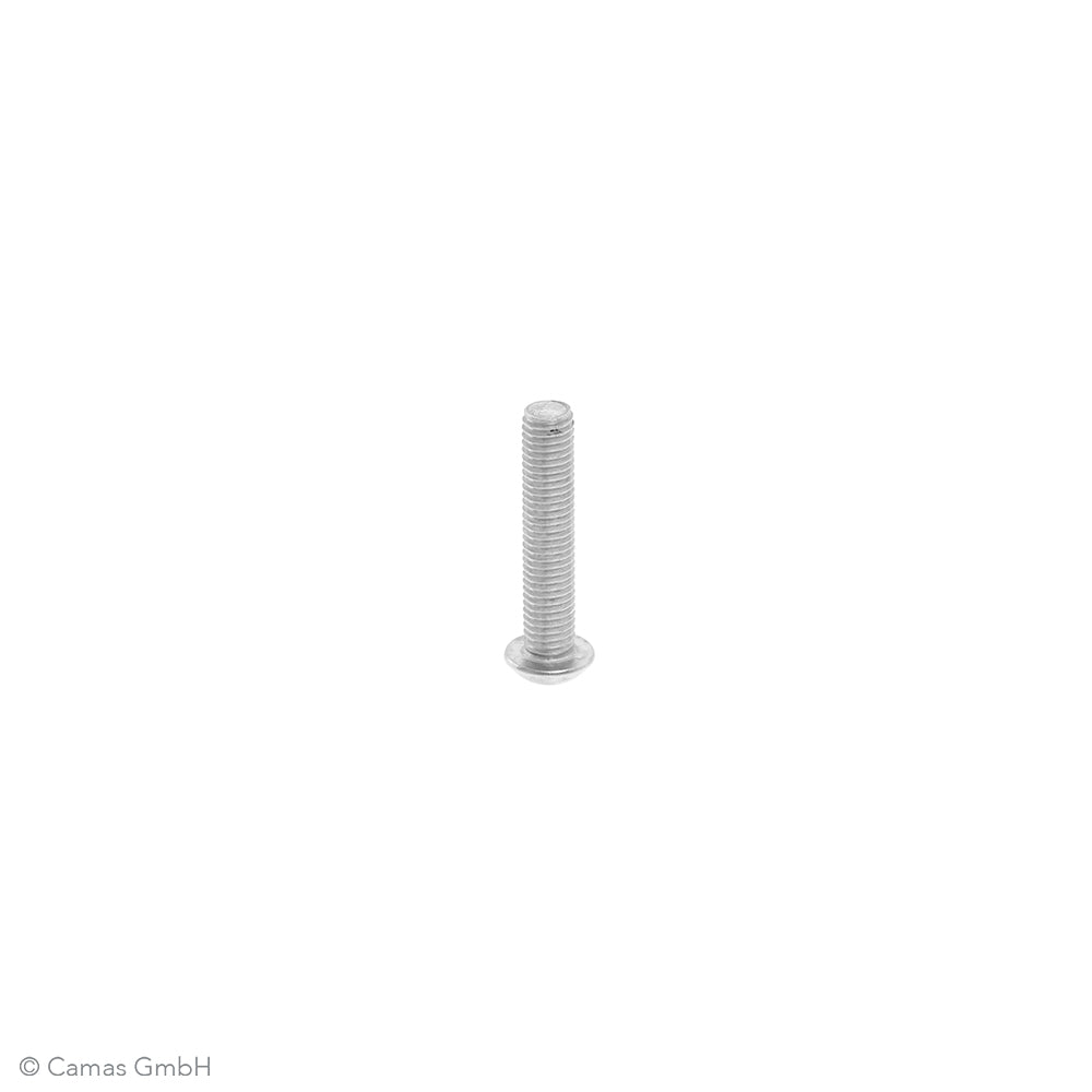 M8x40 V2A Zaunbauschraube