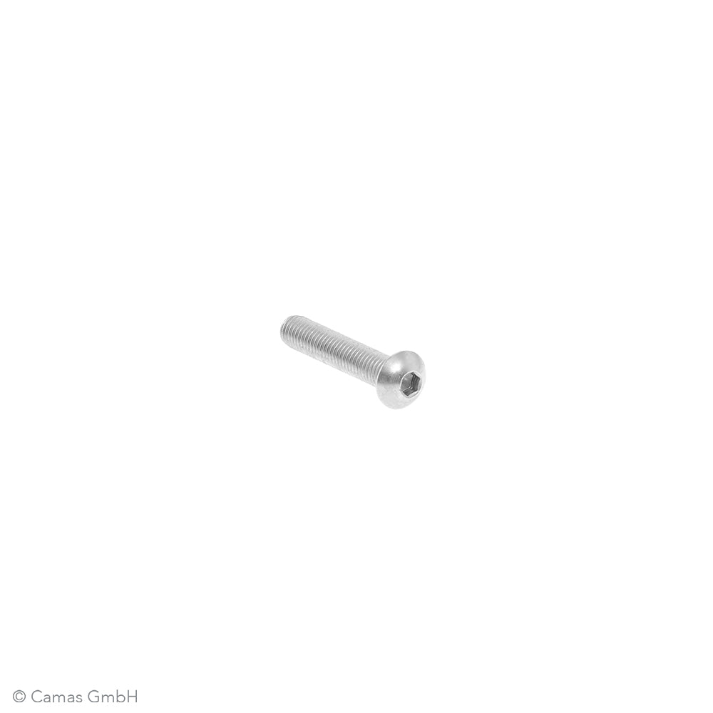 M8x40 V2A Zaunbauschraube