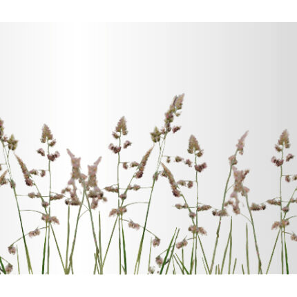 Glasgummiauflage-fuer-Zusatzdekore - Product image