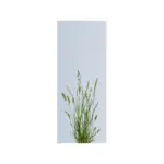 VIDUAL-clear-individuelle-Glasfuellung-schraeg - Product image